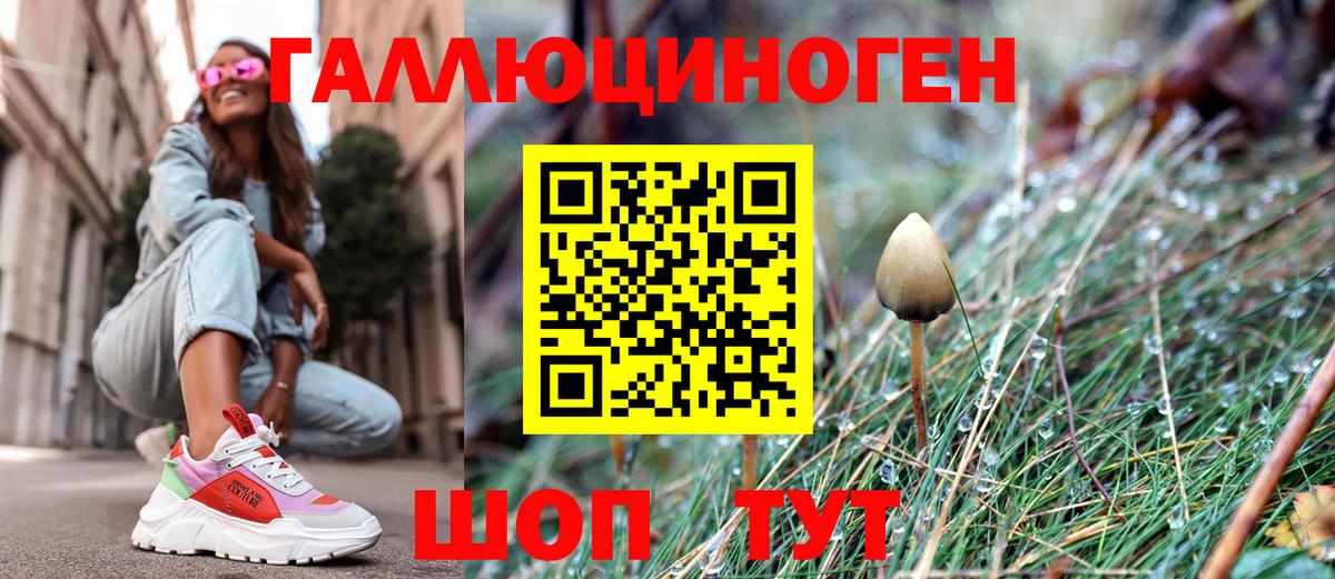 Галлюциногенные грибы Psilocybe  как найти закладки  Домодедово  Вход с VPN 