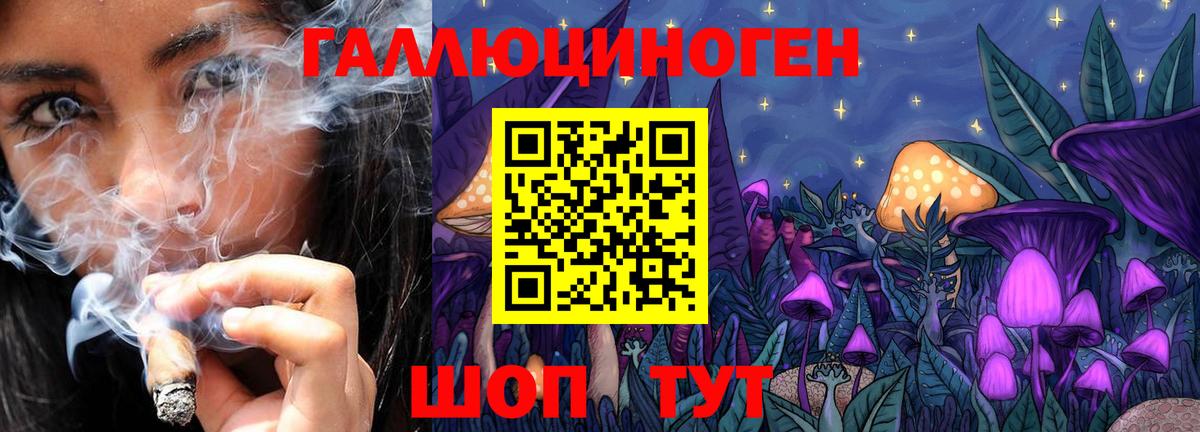 Псилоцибиновые грибы Psilocybe Домодедово